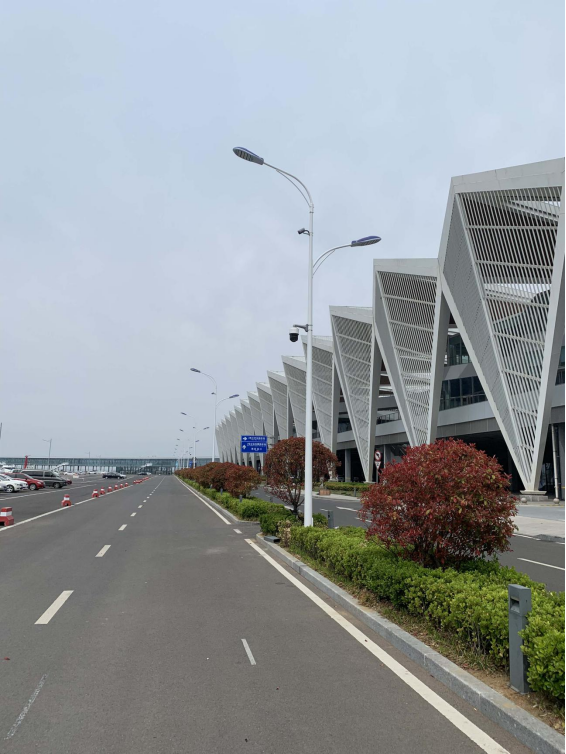 青岛港项目